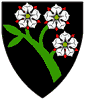 c:\1 - working documents\genealogy files\2a - heraldry\swiss heraldry\zurich roll_files\314_thumb.gif