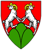 c:\1 - working documents\genealogy files\2a - heraldry\swiss heraldry\zurich roll_files\330_thumb.gif