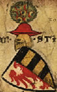 c:\1 - working documents\genealogy files\2a - heraldry\swiss heraldry\zurich roll_files\030.jpg