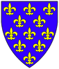 c:\1 - working documents\genealogy files\2a - heraldry\swiss heraldry\zurich roll_files\024_thumb.gif