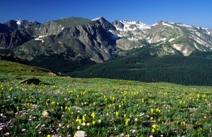 http://www.sciencesource2.ca/images/quiz_mountains.jpg