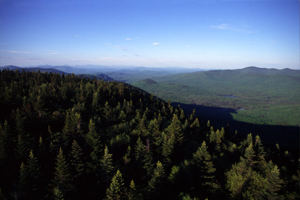 http://thebirdzoo.com/thebirdzoo%20images/wakely-mtn-fire-tower-view-.jpg