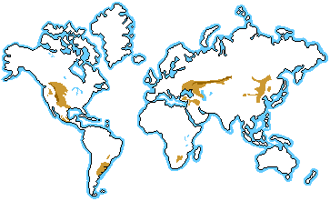 http://www.blueplanetbiomes.org/images/grassland_location_map.gif