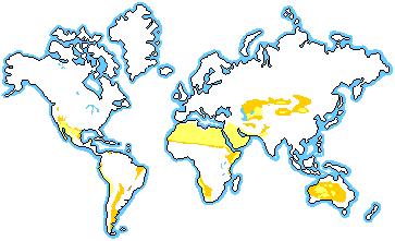 http://www.blueplanetbiomes.org/images/desert_location_map001.gif