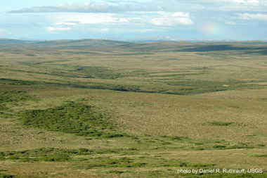 http://www.windows2universe.org/earth/life/images/tundra_usgs_sm.jpg