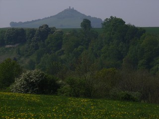 ruine vom dessenberg.jpg