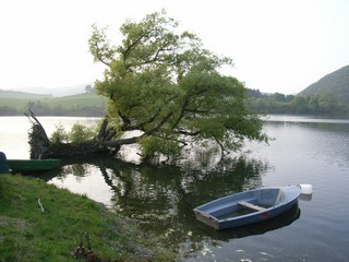 diemelsee.jpg