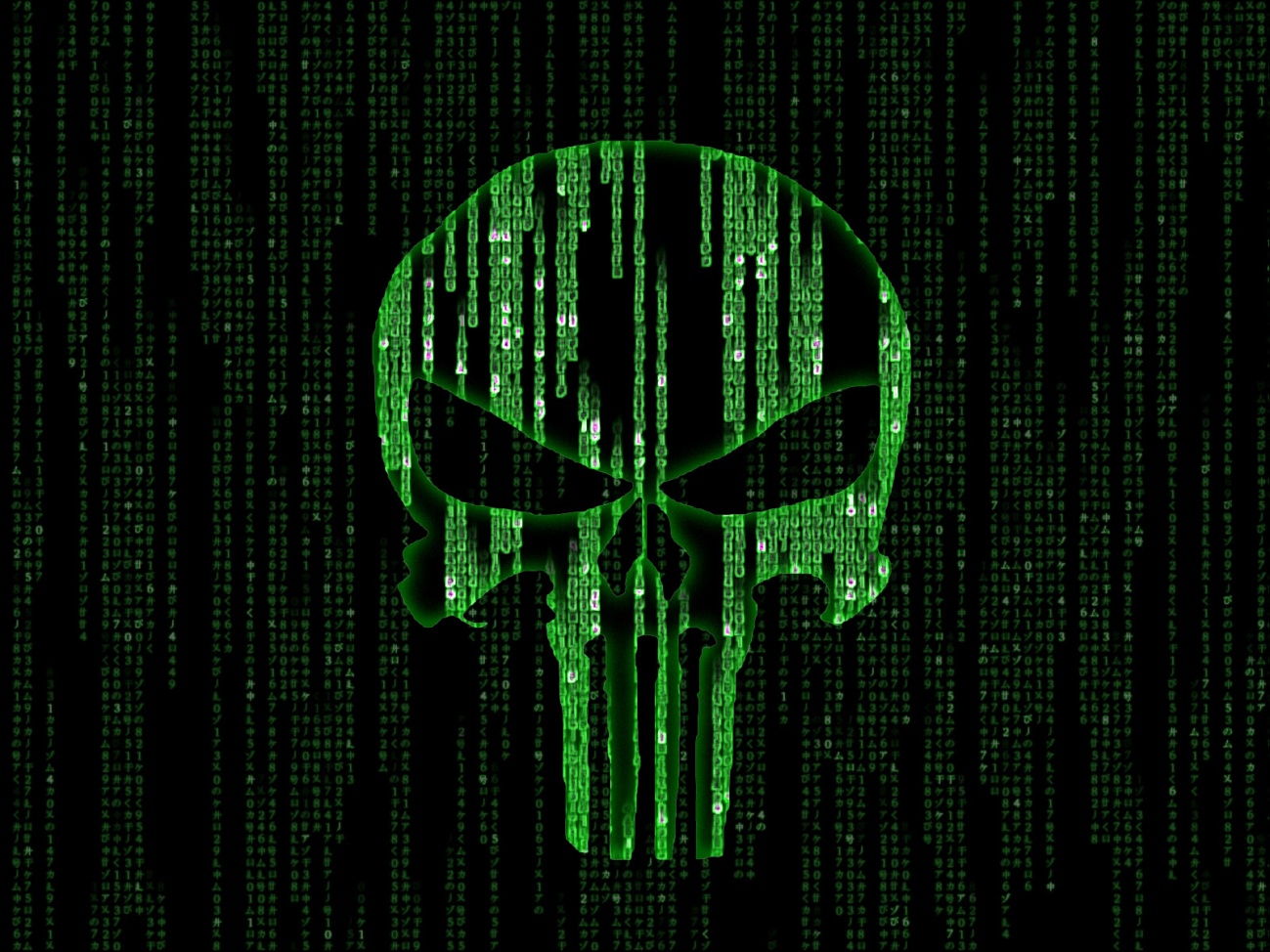 http://creativx.net/forums/attachments/linux-themes/44993d1329532232-linux-matrix-binary-extreme-edition-punisher.jpg