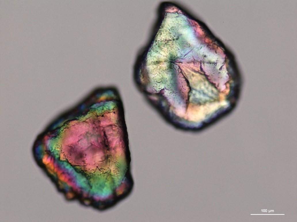 c:\microscopy\aug 6th 2012\visikol silica sand from lab 1.jpg