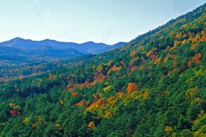 autumn in the ouachita mountains