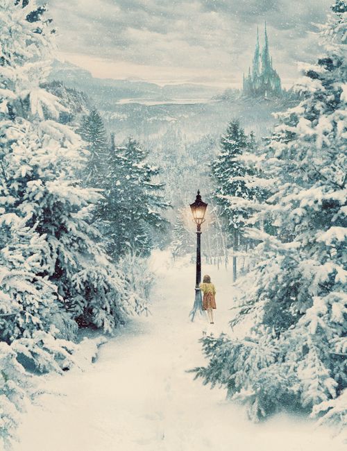 narnia cover photo.jpg