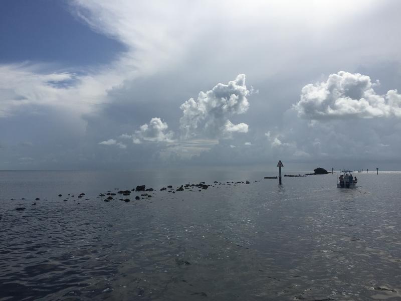 boats glide off into the open bay from the marina at the dante fascell visitor center