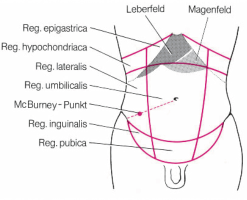 c:\users\felix\desktop\abdomen regionen.jpg