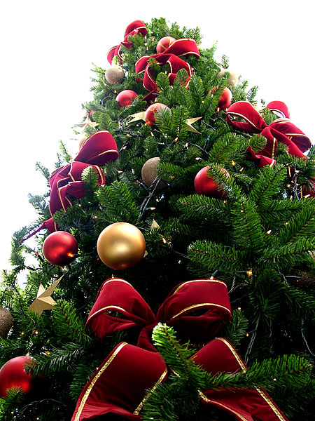 christmas_tree_sxc_hu.jpg