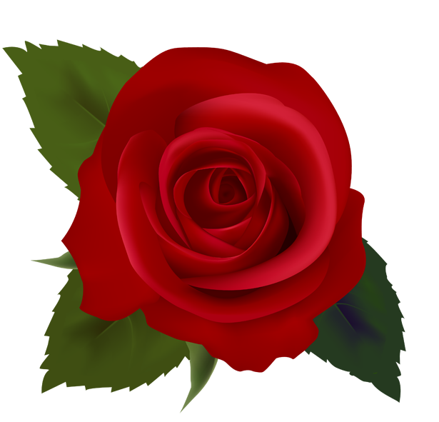 red-rose.png