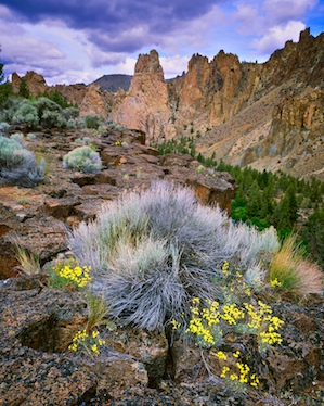 http://www.mikeputnamphoto.com/wp-content/uploads/2010/12/smith-rock-state-park.jpg