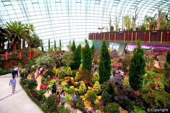 inside the flower dome