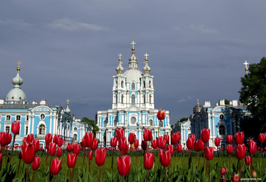 risultato immagine per istituto smolny