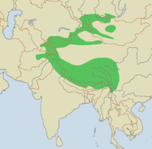 http://upload.wikimedia.org/wikipedia/commons/thumb/8/88/snow_leopard_range.png/220px-snow_leopard_range.png