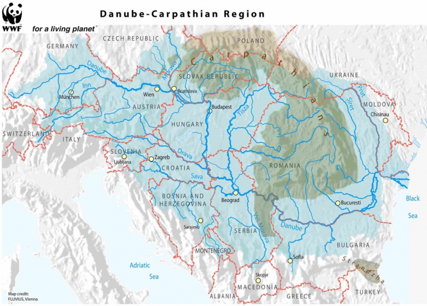 http://www.internationalrivers.org/files/styles/600-height/public/images/resource/berklee_lowrey-evans/danube-carpathian-region-credit_ulrich_schwarz.jpg?itok=y6un-4lv