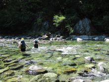 hikers ford the south fork of the smith river — before the recent rains — on the old kelsey trail. photos courtesy of haven livingston