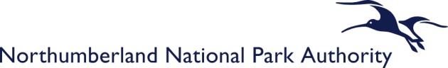 nnpa logo blue .jpg