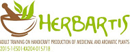 logo ok herbartis-2.jpg