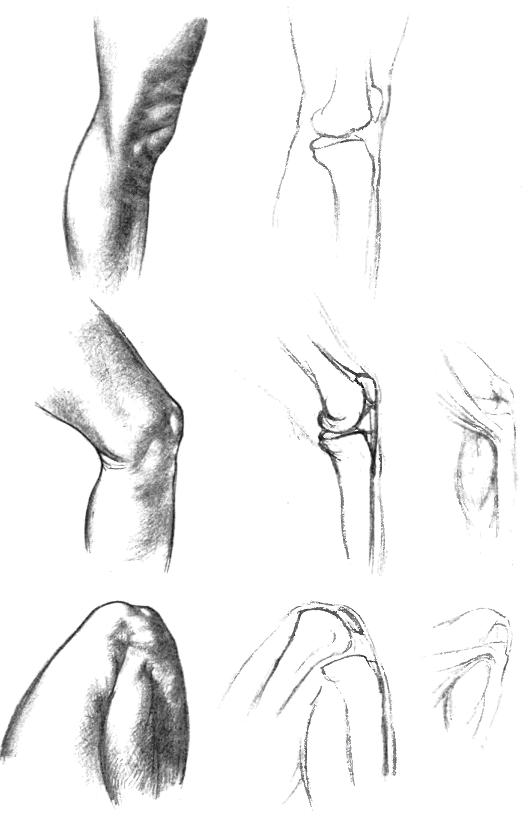 Как рисовать коленки
