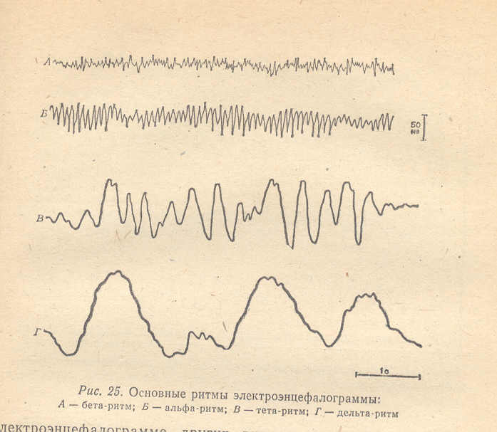 Альфа ритм. Альфа ритм бета ритм тета ритм Дельта ритм ЭЭГ. Альфа и бета ритмы на ЭЭГ.